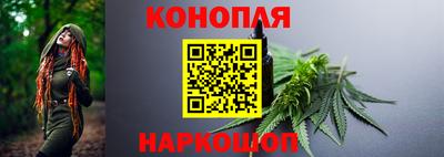 прущие крисы Краснознаменск