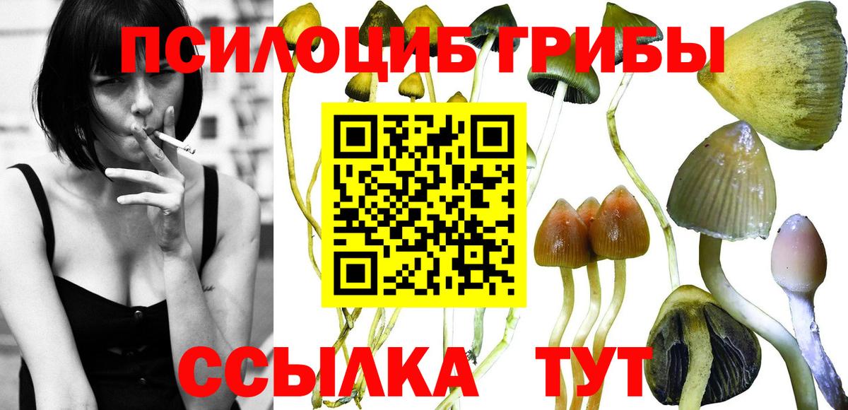 Псилоцибиновые грибы ЛСД  Галлюциногенные грибы MAGIC MUSHROOMS  Вход с VPN  Ковров 